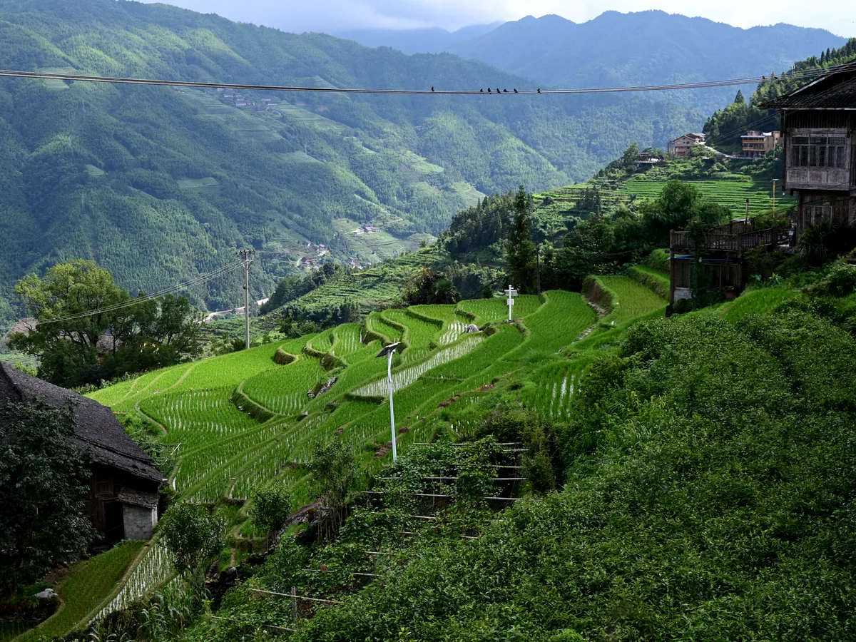 Sweeping view of layered rice terraces and traditional village buildings on a Chinese mountain slope