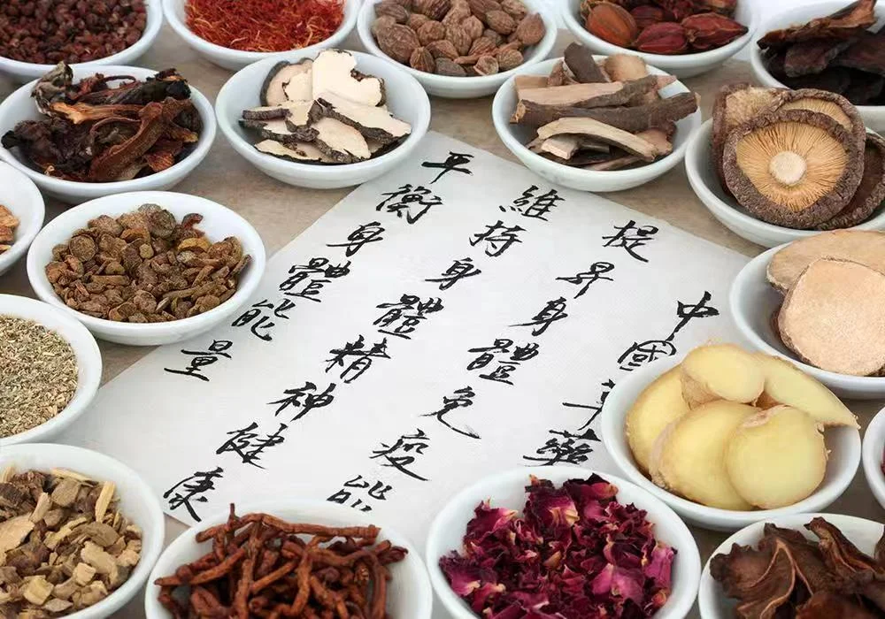 Traditional Chinese medicine herbs in white bowls with calligraphy scroll