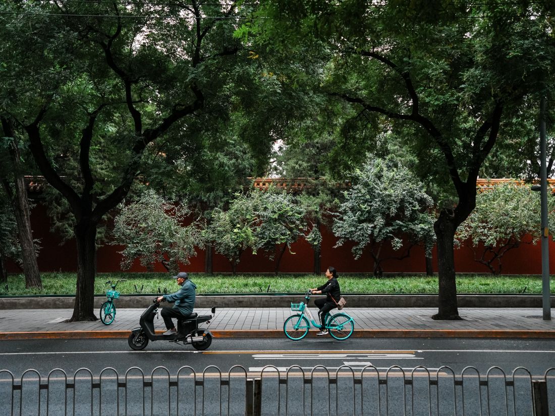Two cyclists under lush trees in a Chengdu urban park