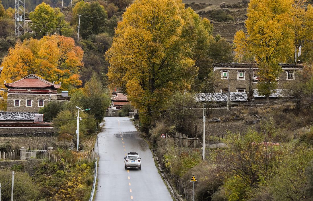 Autumn road through Xinduqiao, Sichuan valley