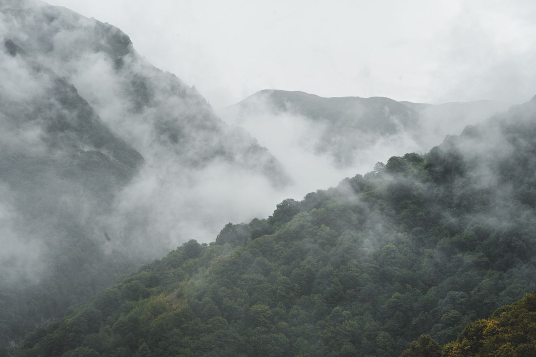 Mist-covered mountains in lush green Guizhou forest
