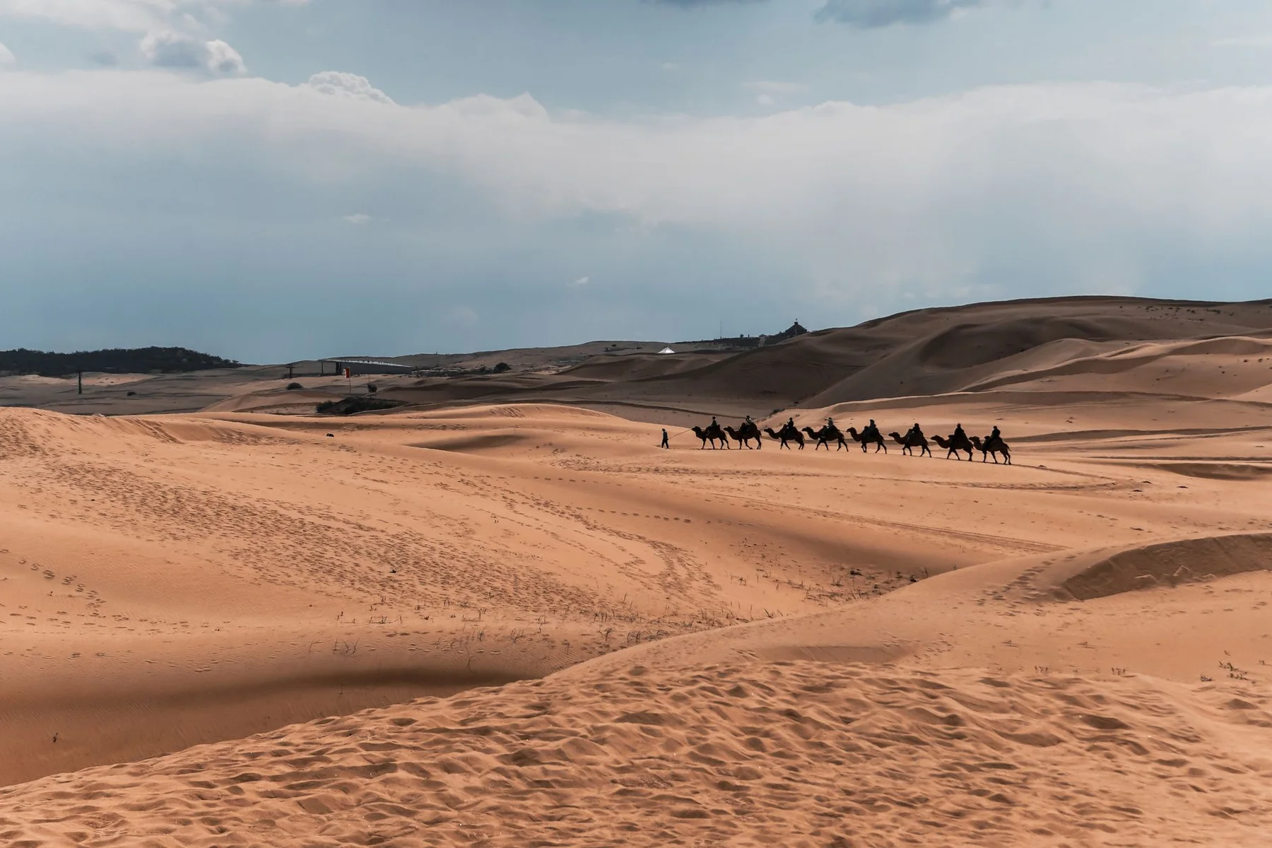 Camel train crossing Inner Mongolia desert dunes on a China desert adventure route