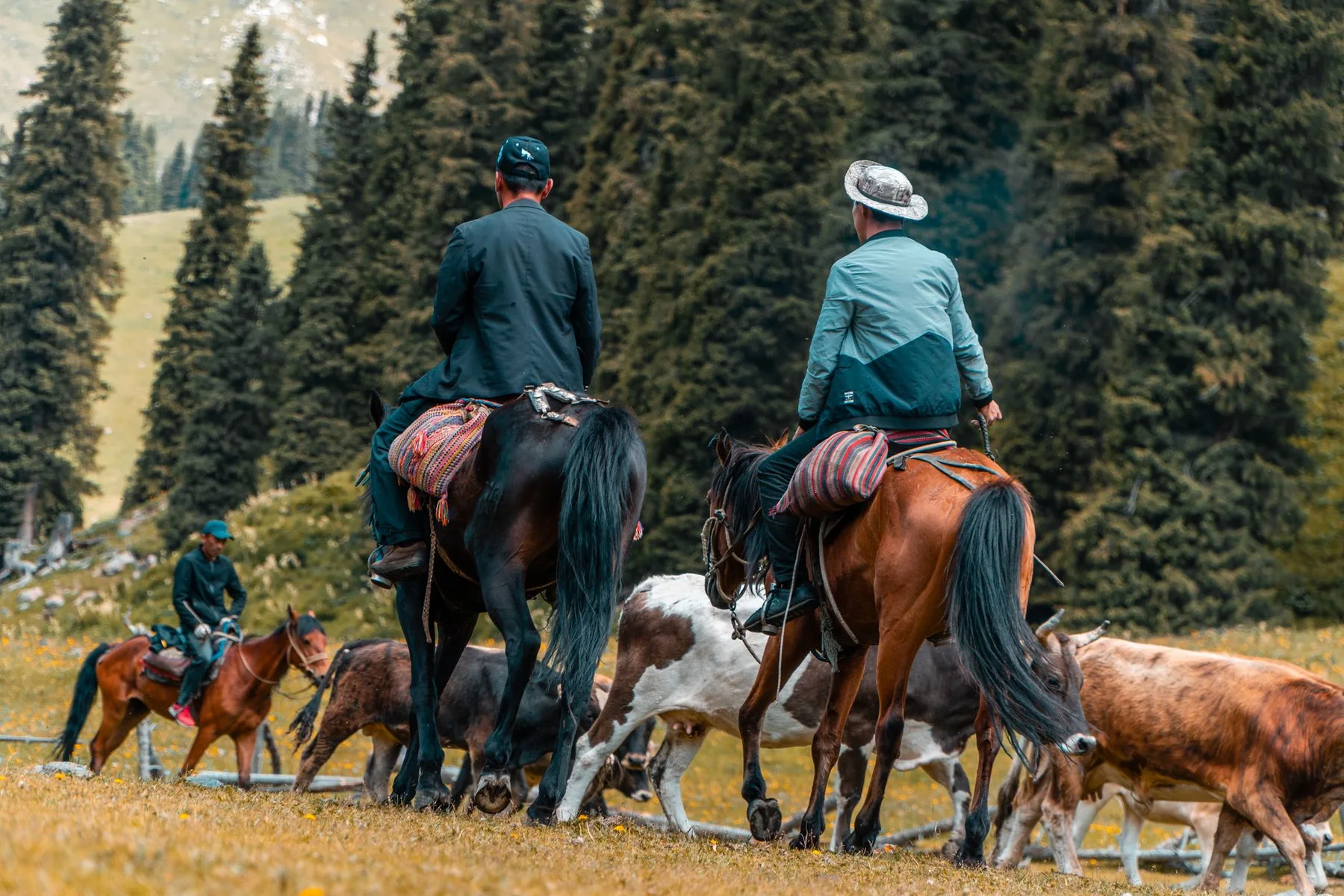 Steppe Slow-Riding