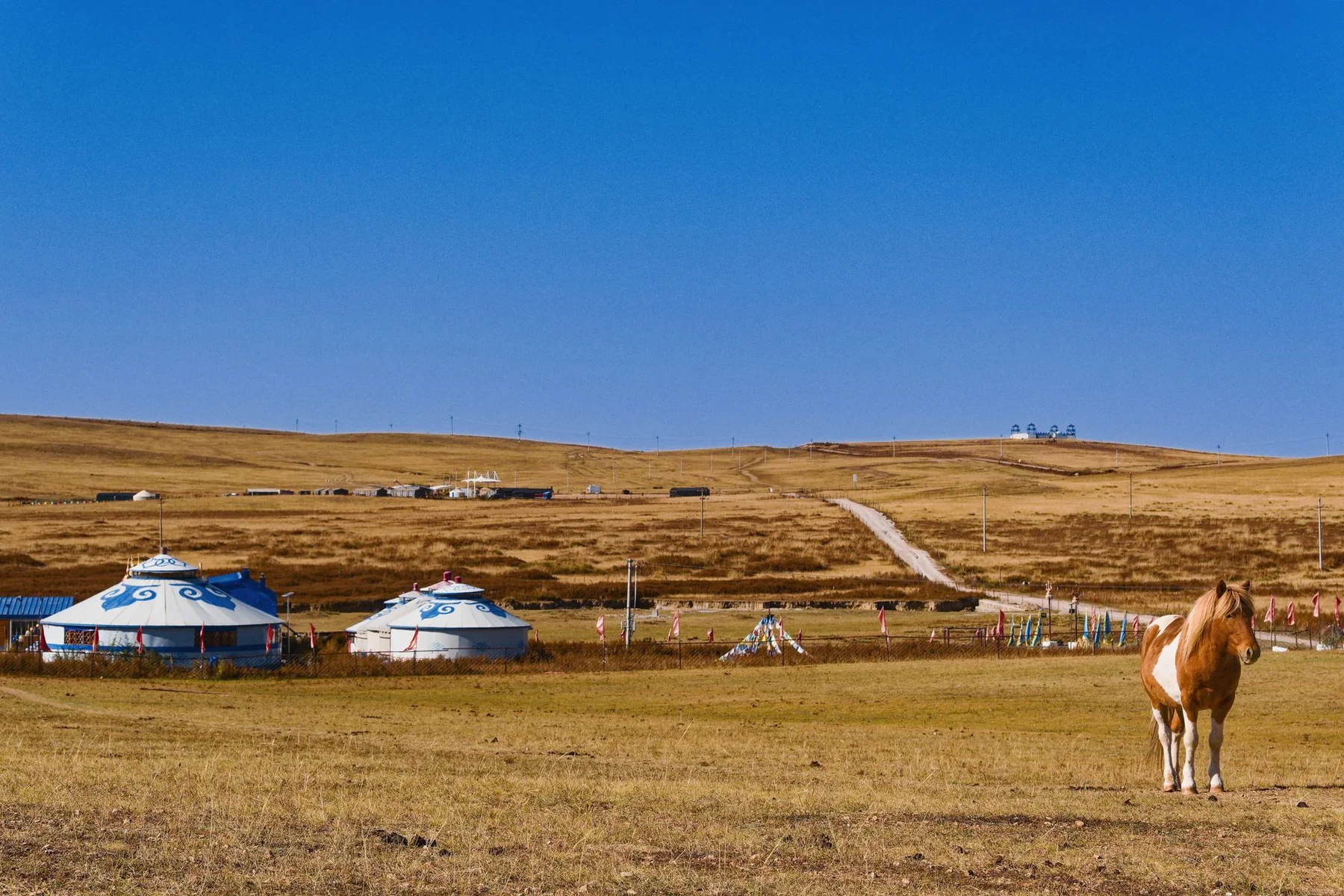 Inner Mongolia grassland yurts and horse for a wild luxury camp journey in China