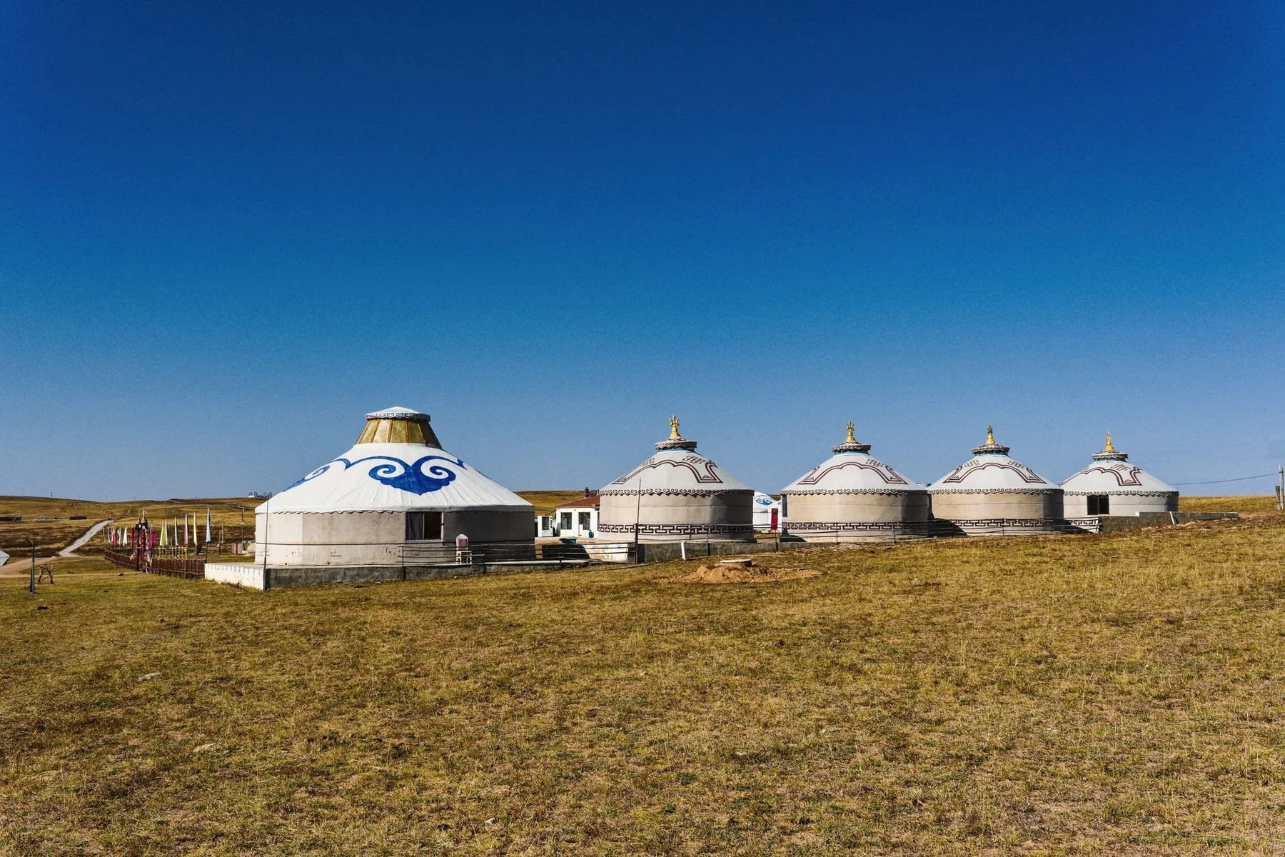 Wild-Luxury Camps